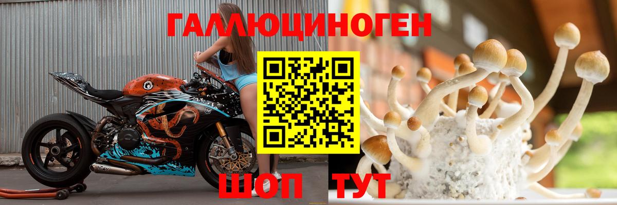 Холмск  Галлюциногенные грибы прущие грибы  Вход с VPN 